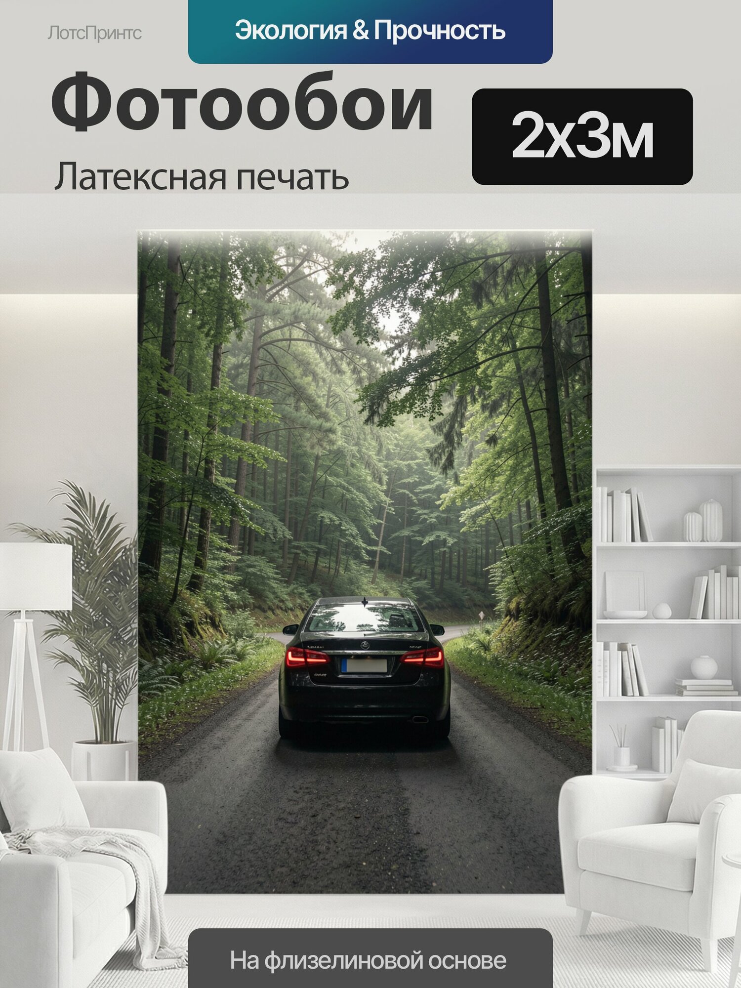 Фотообои моющиеся ударопрочные "Автомобиль на лесной дороге. Чёрный седан движется среди высоких хвойных и лиственных деревьев, окружён." 200x300 см. латексная печать