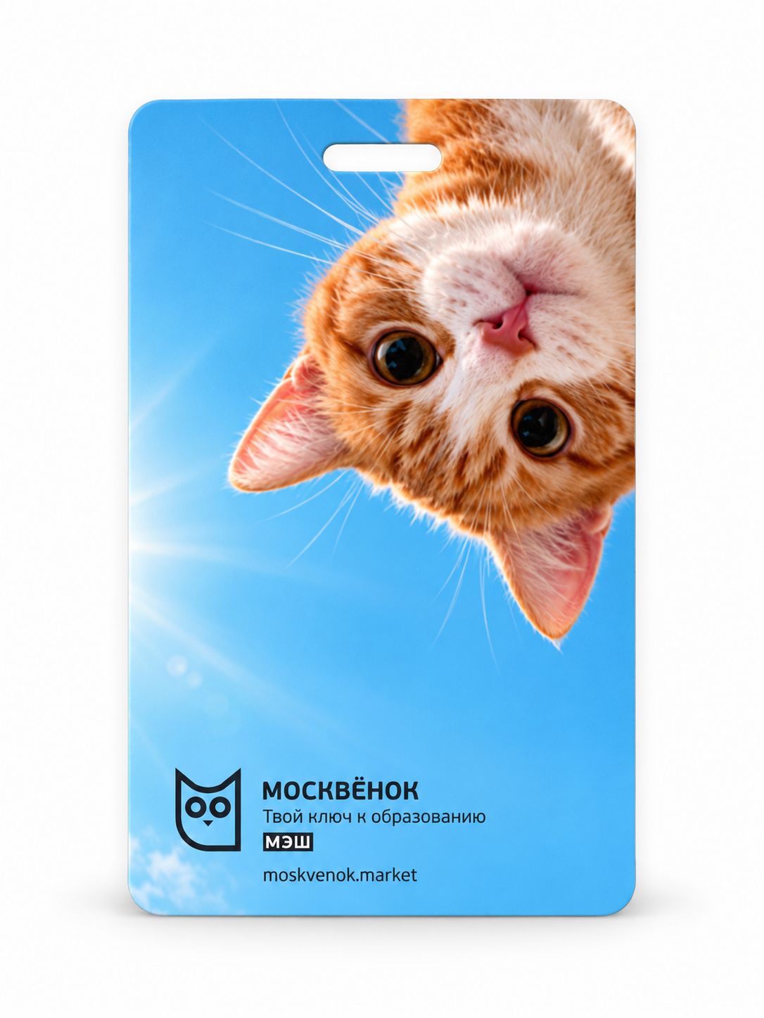 Карта "Москвёнок", Котик