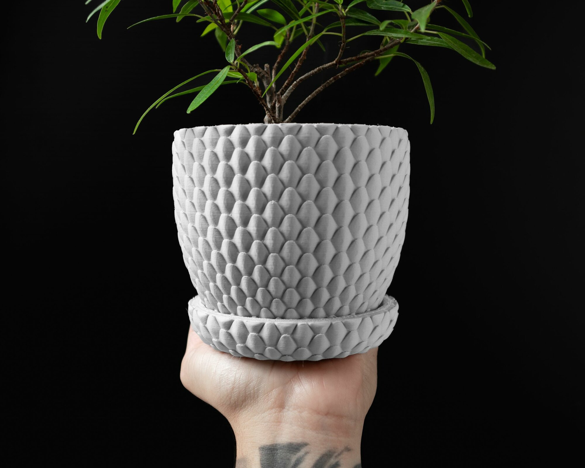 Кашпо для растений с драконом, 3D-печать под заказ, арт. PZ-PLANT-PR-1097441