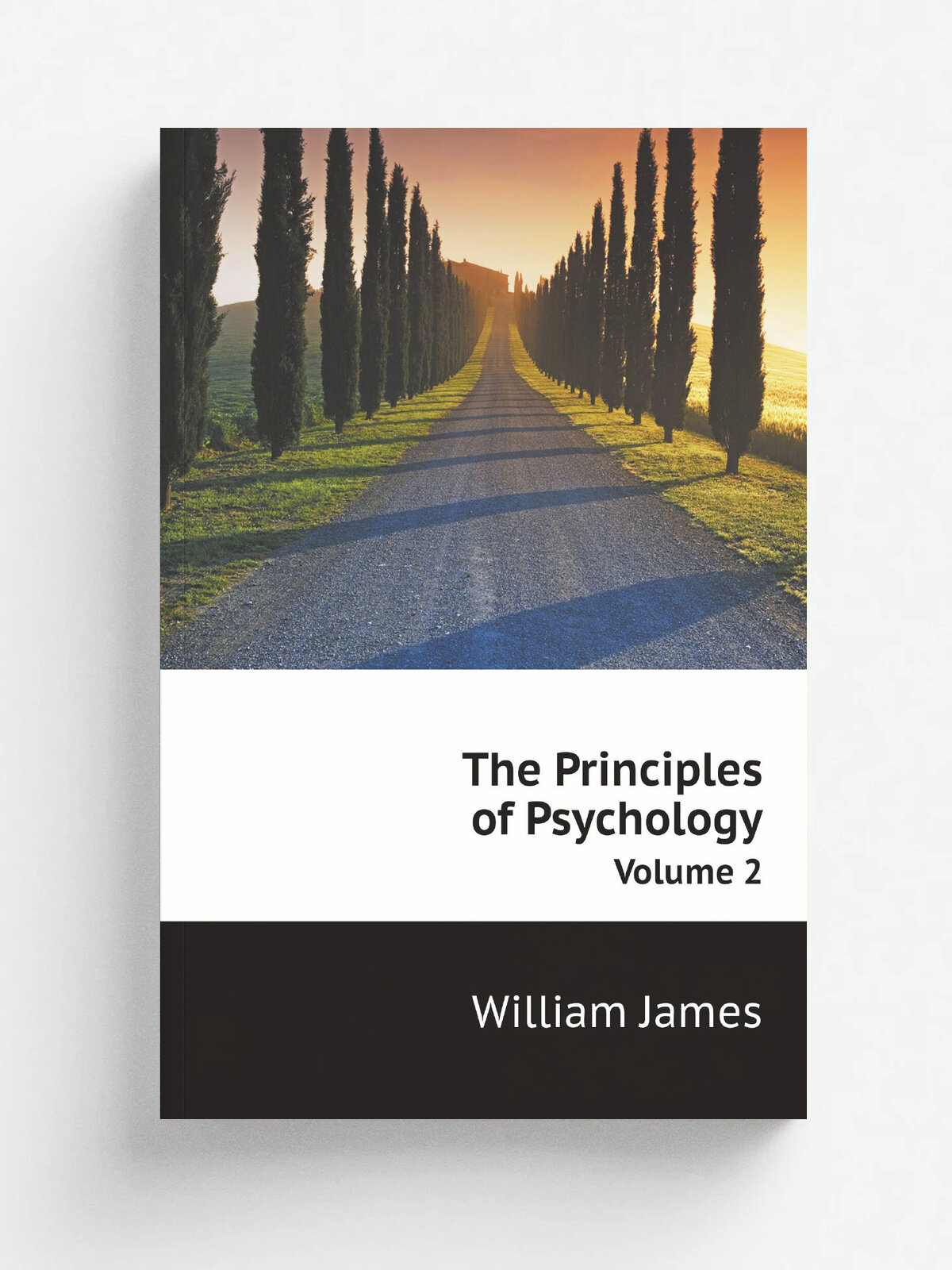The Principles of Psychology. Volume 2 | James William | 1890 | New York, Henry Holt and Co | Репринт