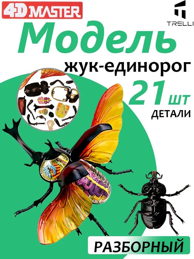 Модель животного/ Развивающая игрушка/может быть использована для обучения детей / Анатомия животных для детей