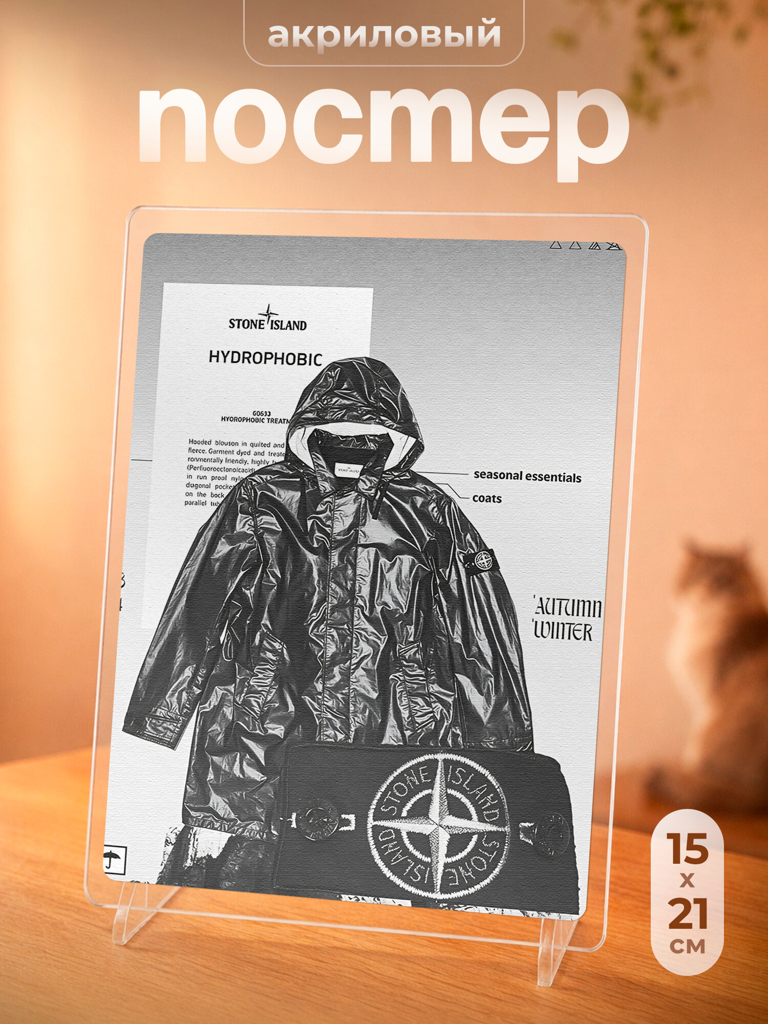 Постер акриловый на подставке стоник