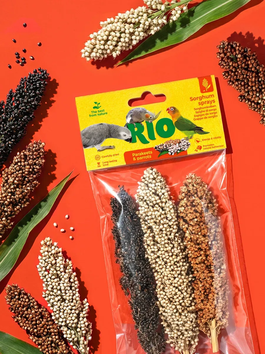 Лакомство RIO Сорго в колосьях для средних и крупных попугаев, 10 штук по 175гр