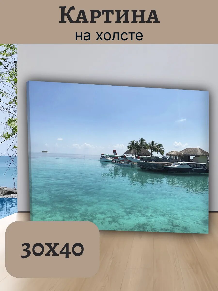 Картина Постер Мальдивы 30x40 с гидросамолетом