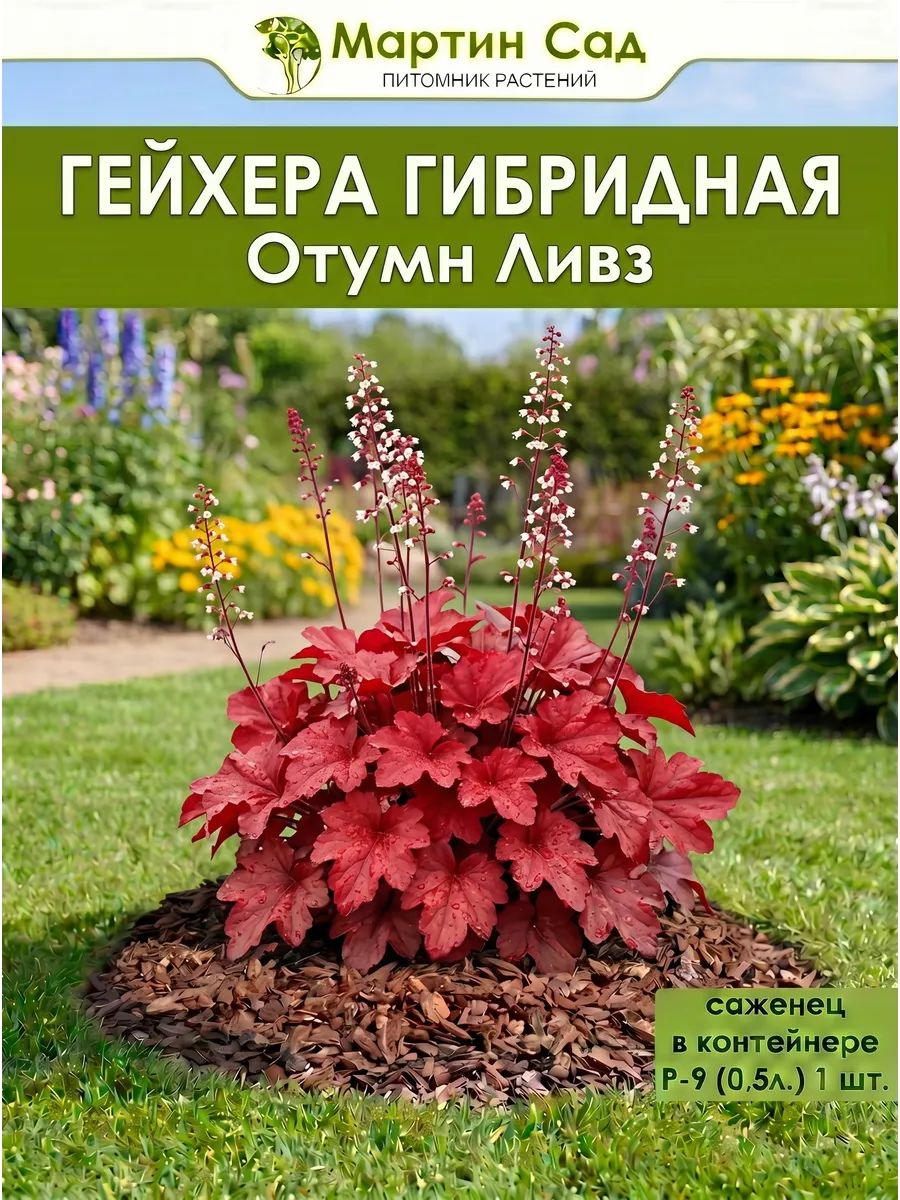 Гейхера гибридная Отумн Ливз Р-9