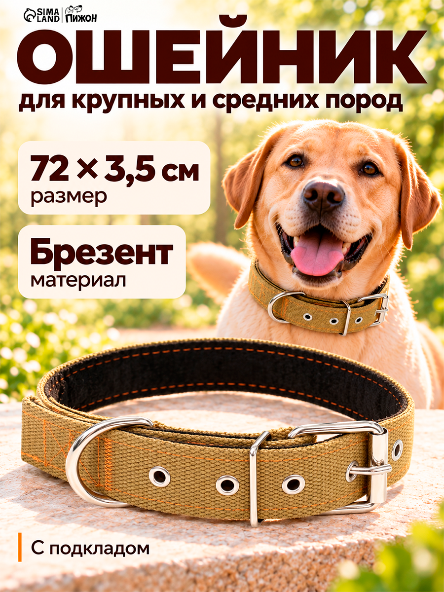 Ошейник Пижон, брезент, с подкладом, универсальный, регулируемый, 72 х 3,5 см, песочный
