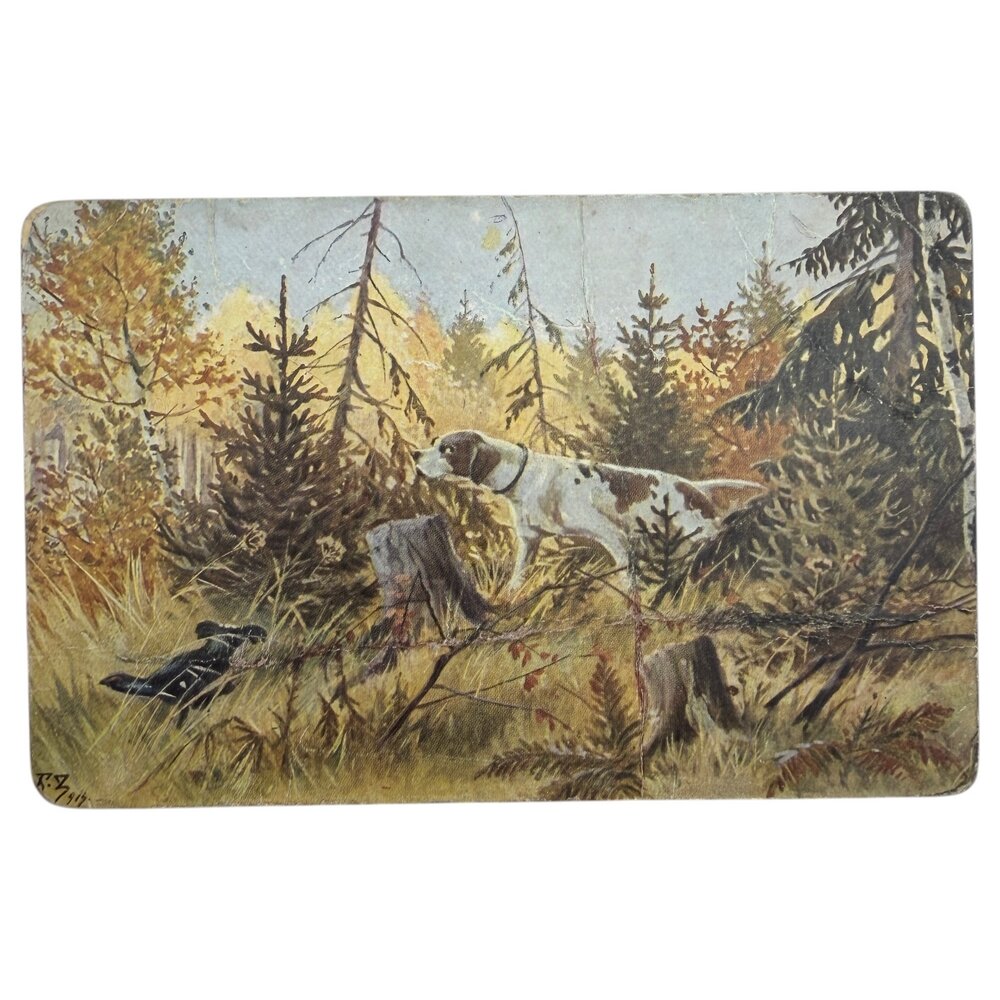 Почтовая открытка "Легавая в лесу" 1900-1917 гг. Российская Империя