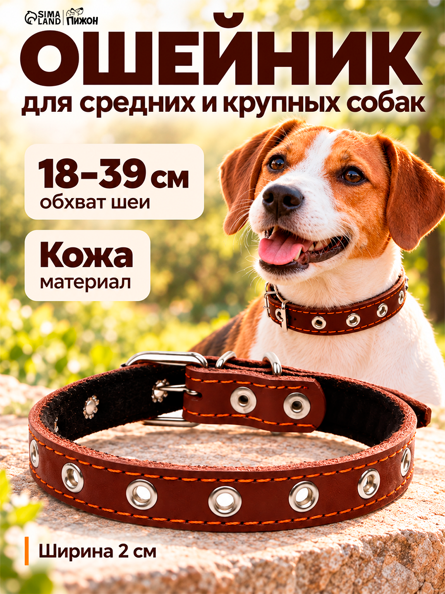Ошейник кожаный на синтепоне, безразмерный, 45 х 2 см, ОШ 18-39 см, коричневый