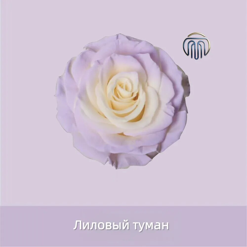 Краска флористическая 1 шт, 450 мл.