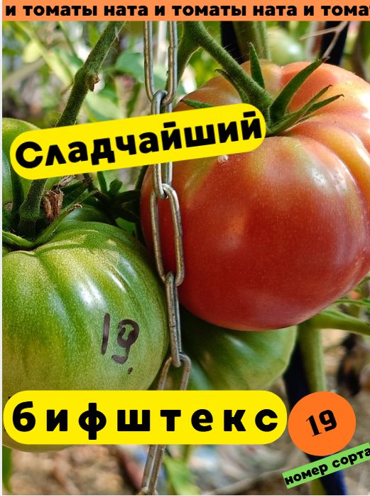 Коллекционные семена томата Сладчайший бифштекс 10 шт