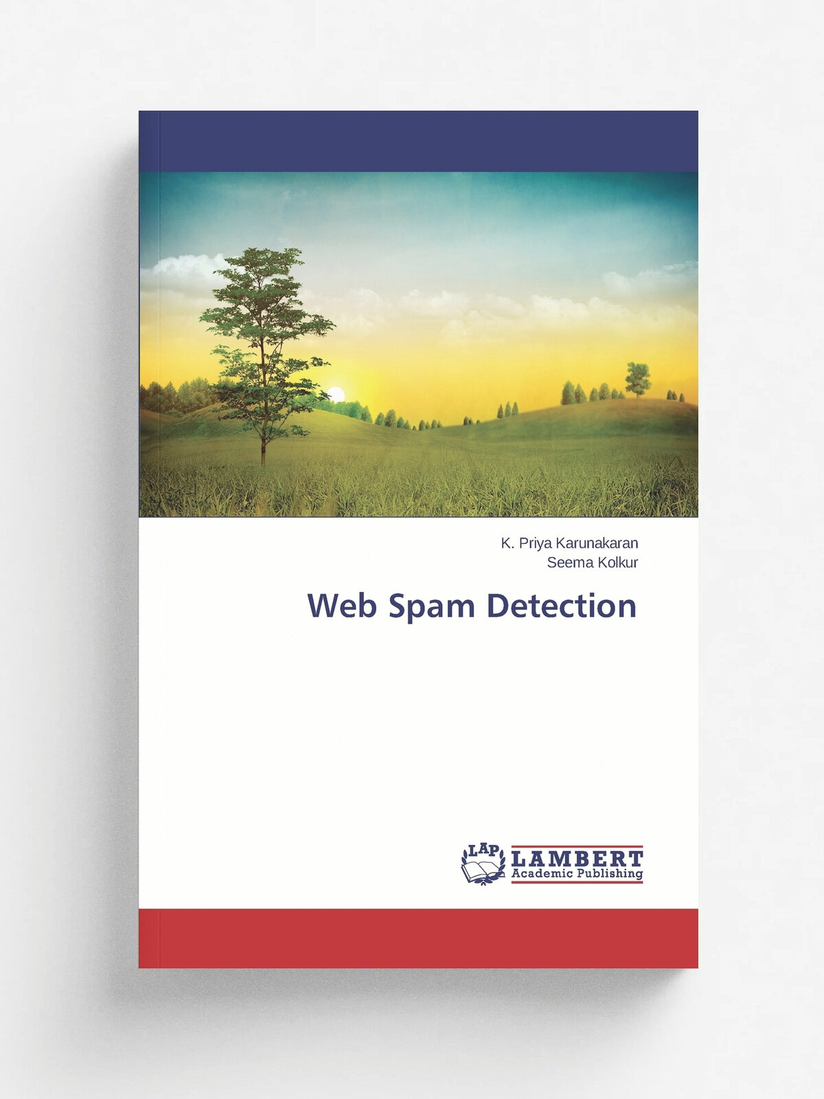 Web Spam Detection
