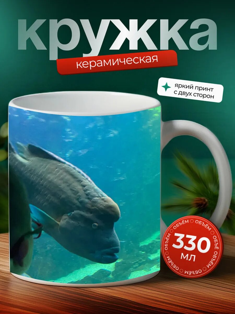 Кружка Данио рыбка 27,