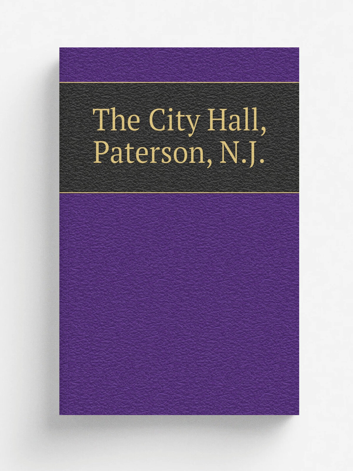 The City Hall, Paterson, N.J.