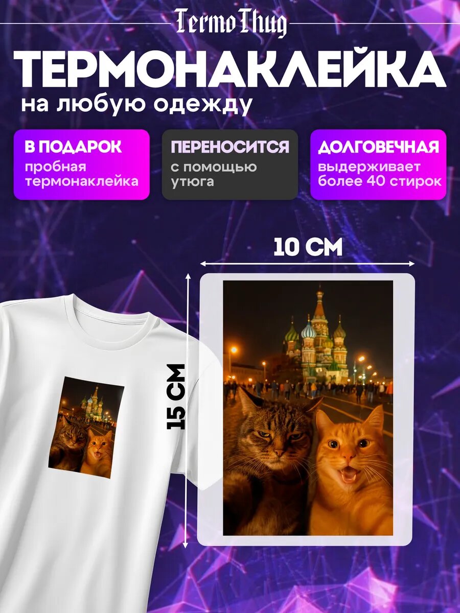 Термонаклейка на одежду мемы котики отдых любовь