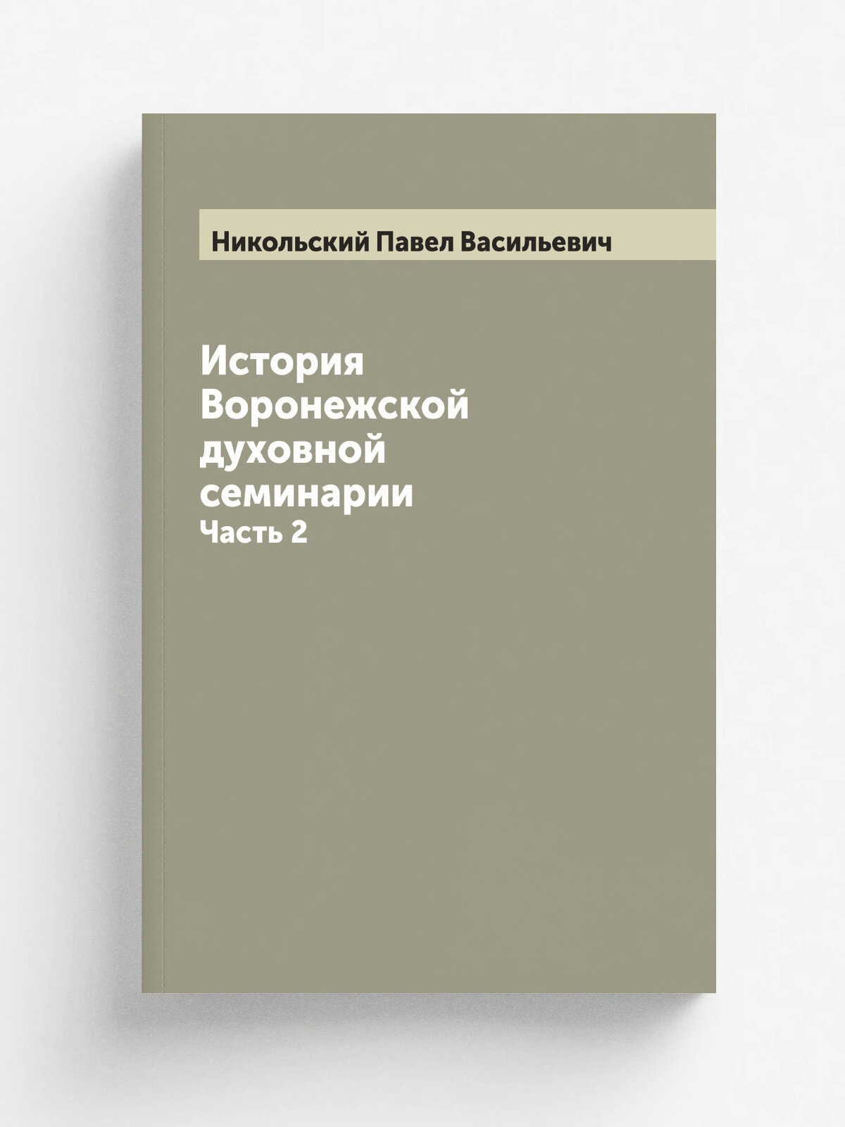 История Воронежской духовной семинарии П. Никольский. Часть 2