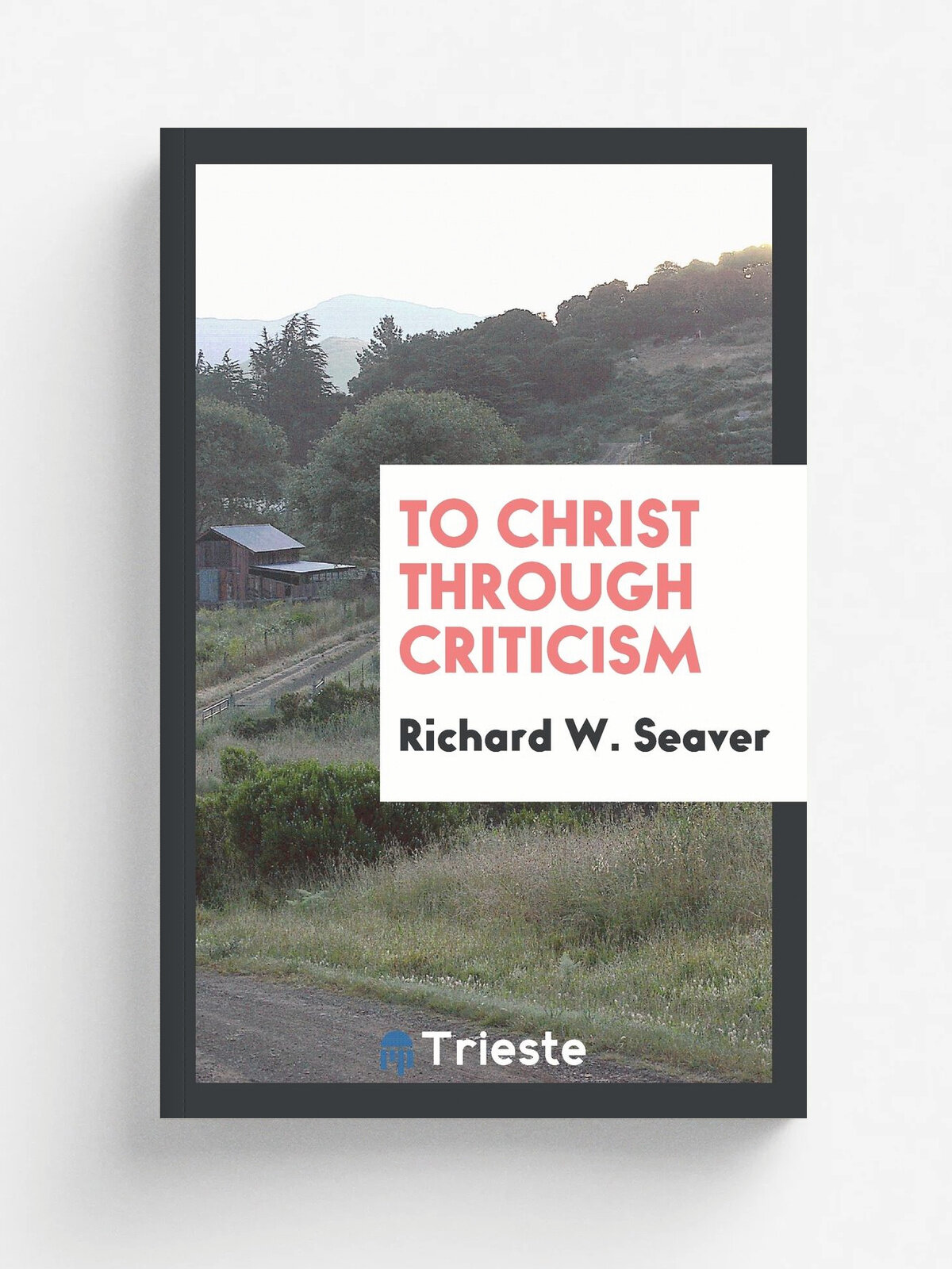 To Christ Through Criticism