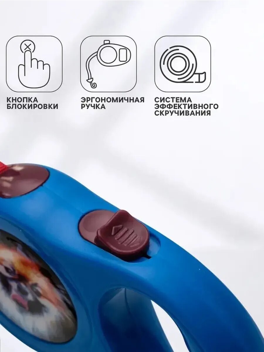 Комфортный поводок с ярким принтом для питомца