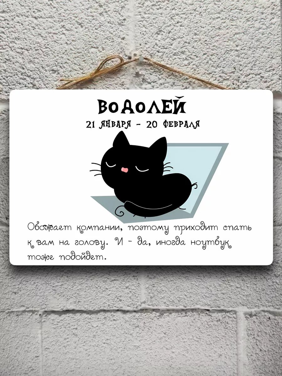 Котики водолей постер