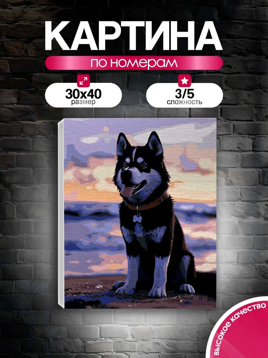 Картина по номерам 30x40 Верный хаски