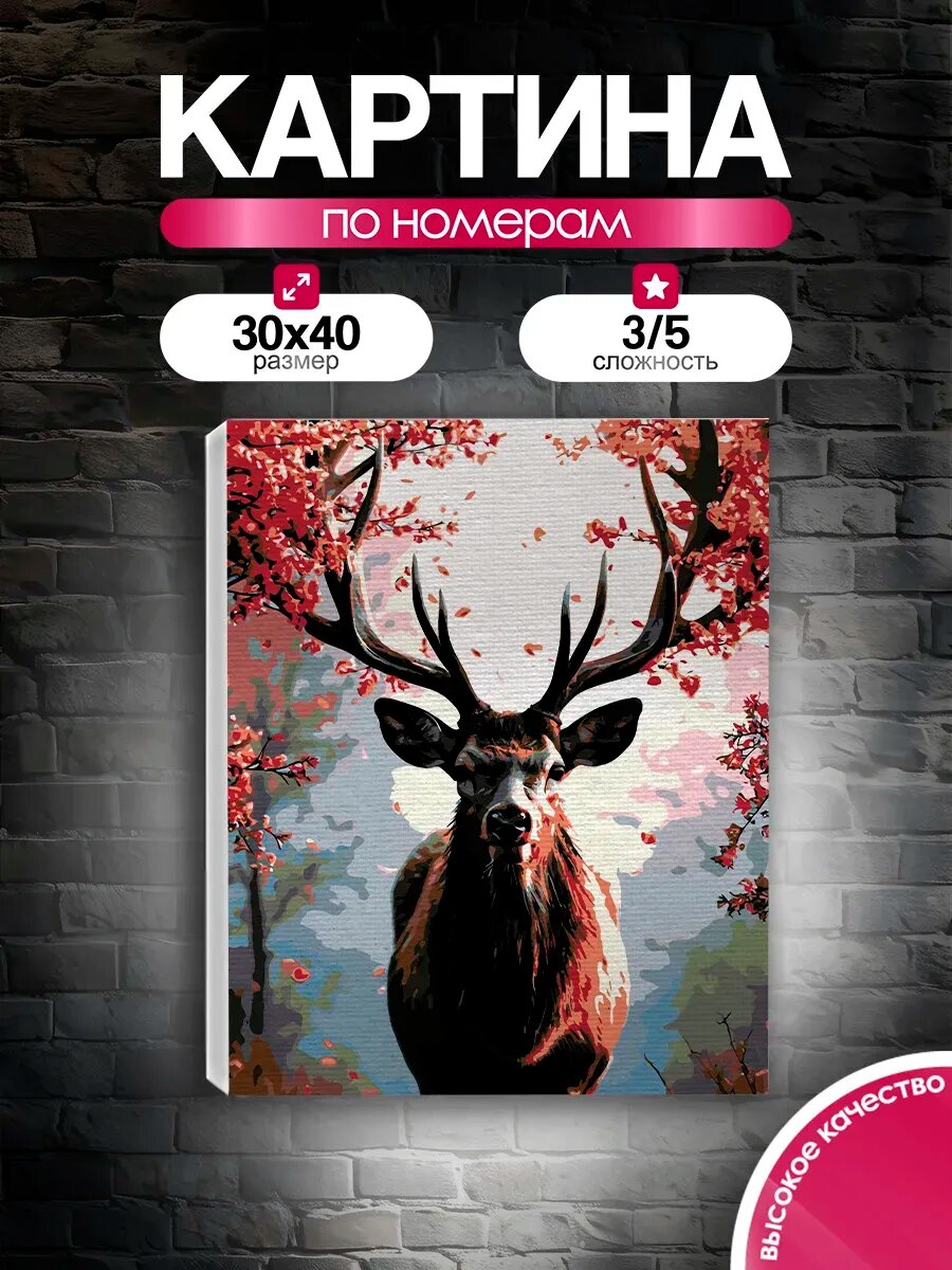 Картина по номерам 30x40 Олень