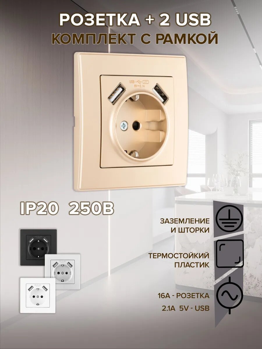 Розетка стационарная с USB встраиваемая однопостовая Arte Milano SET06-1-47-1 shampan