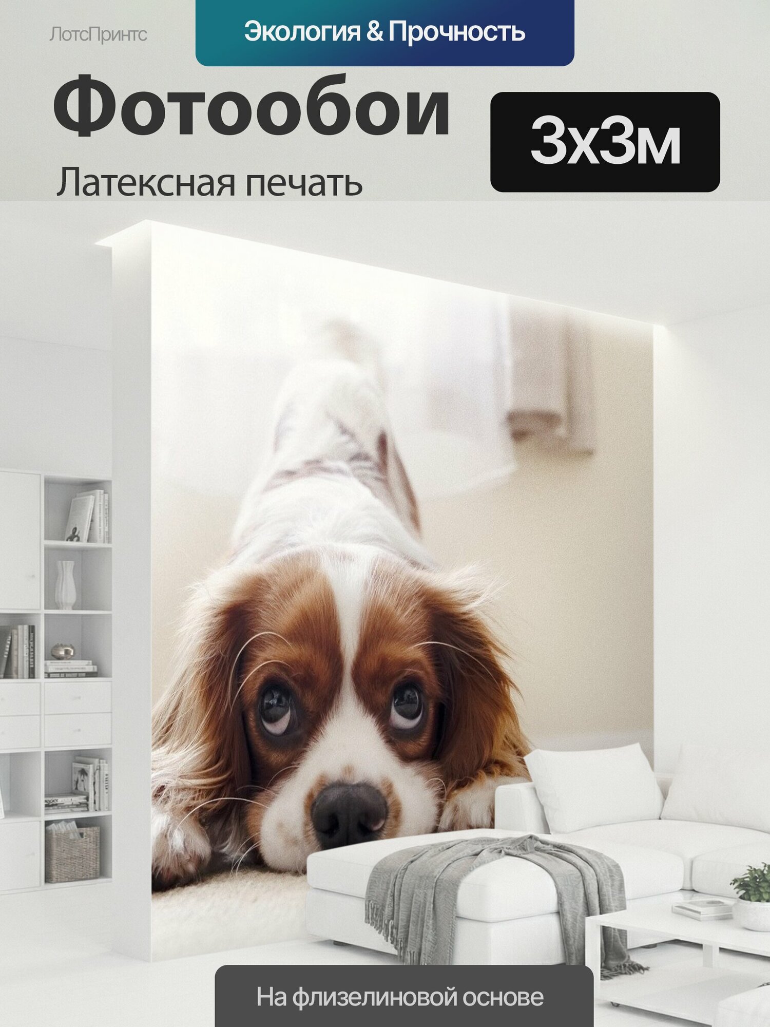 Фотообои моющиеся ударопрочные "Кавалер кинг чарльз спаниель, щенок, собака" 300x300 см. латексная печать