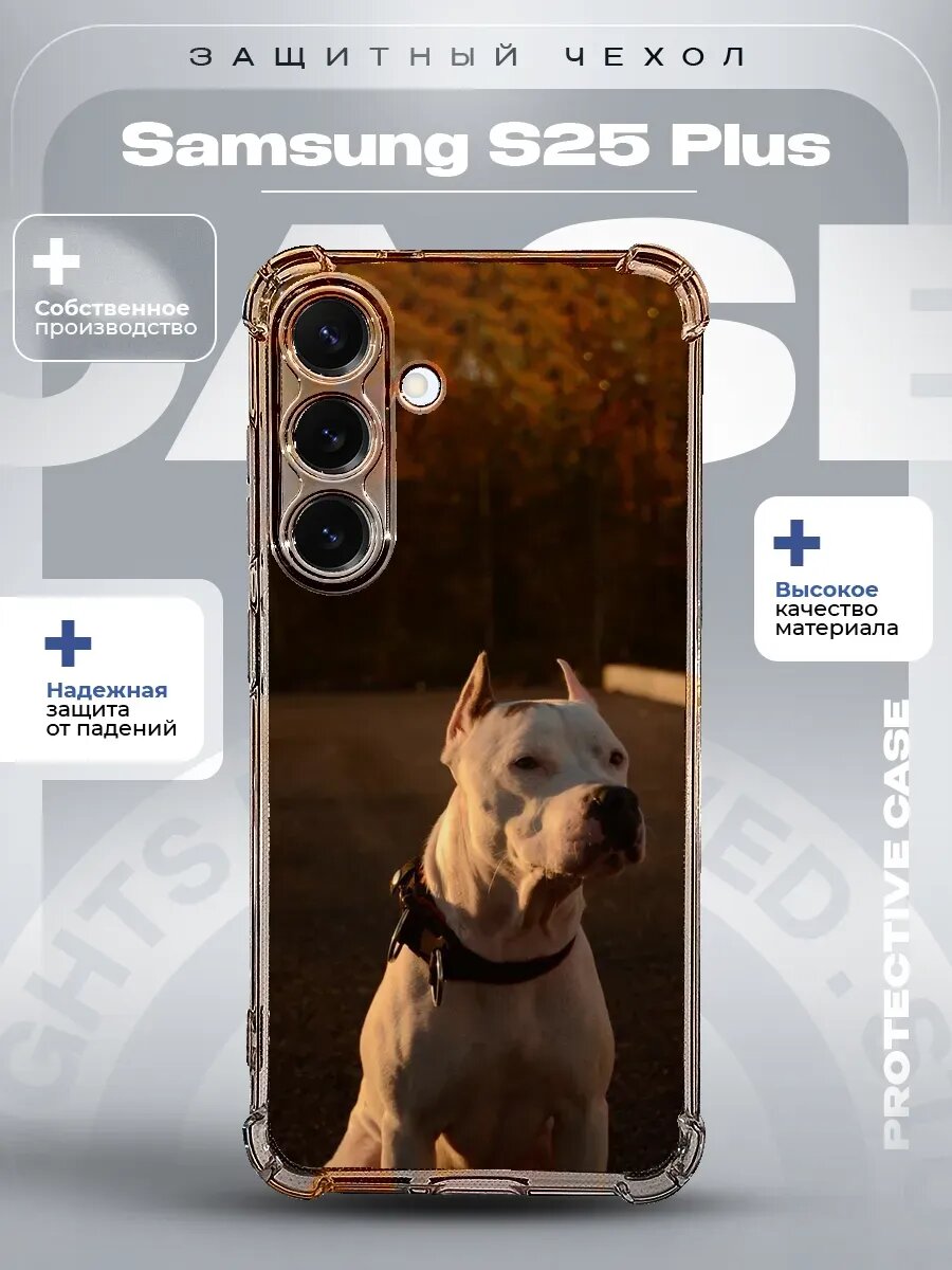 Чехол на Samsung S25 Plus с принтом стафф