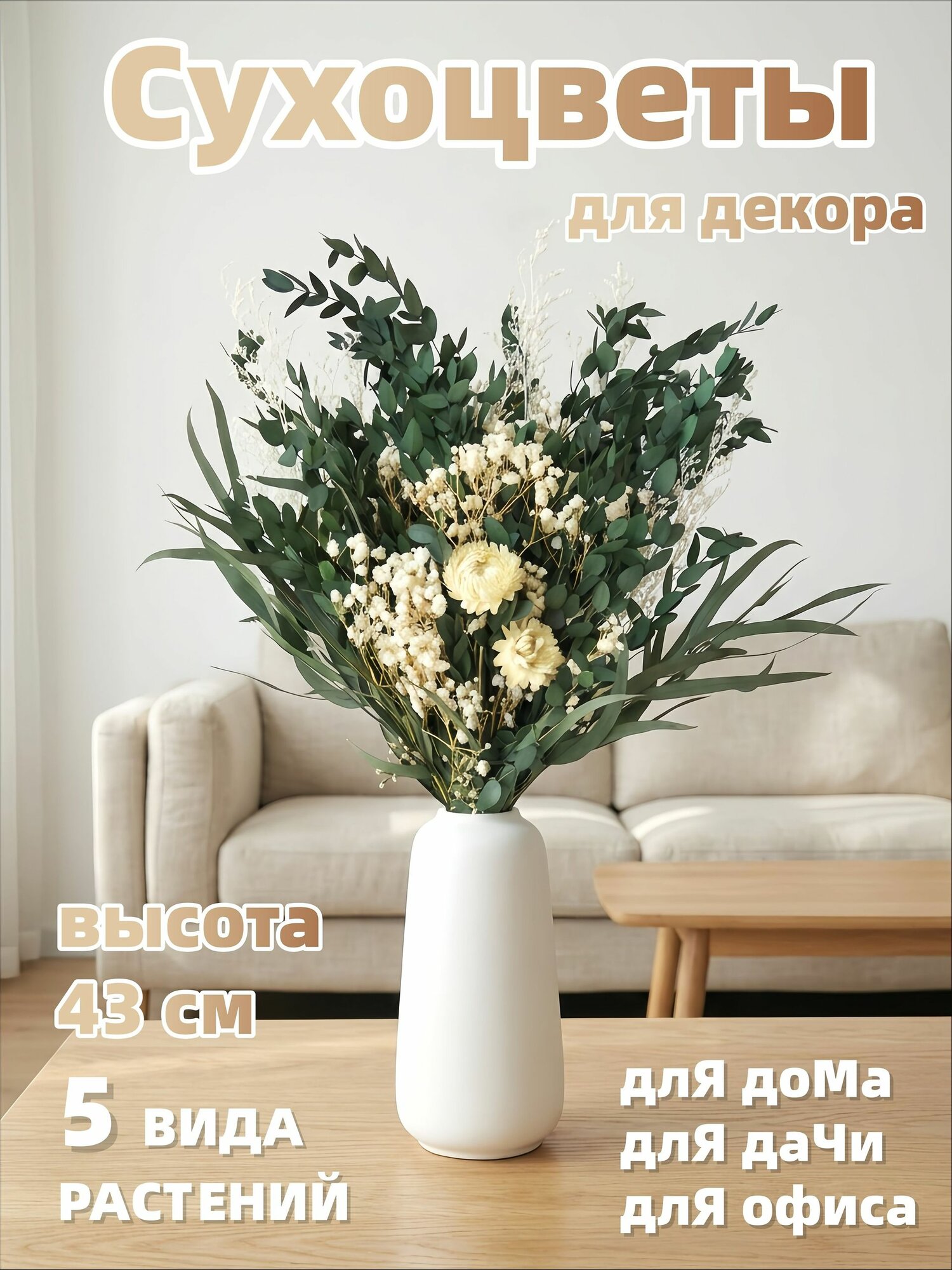 Сухоцветы Хризантема, Гипсофила 43 см 1 шт белый