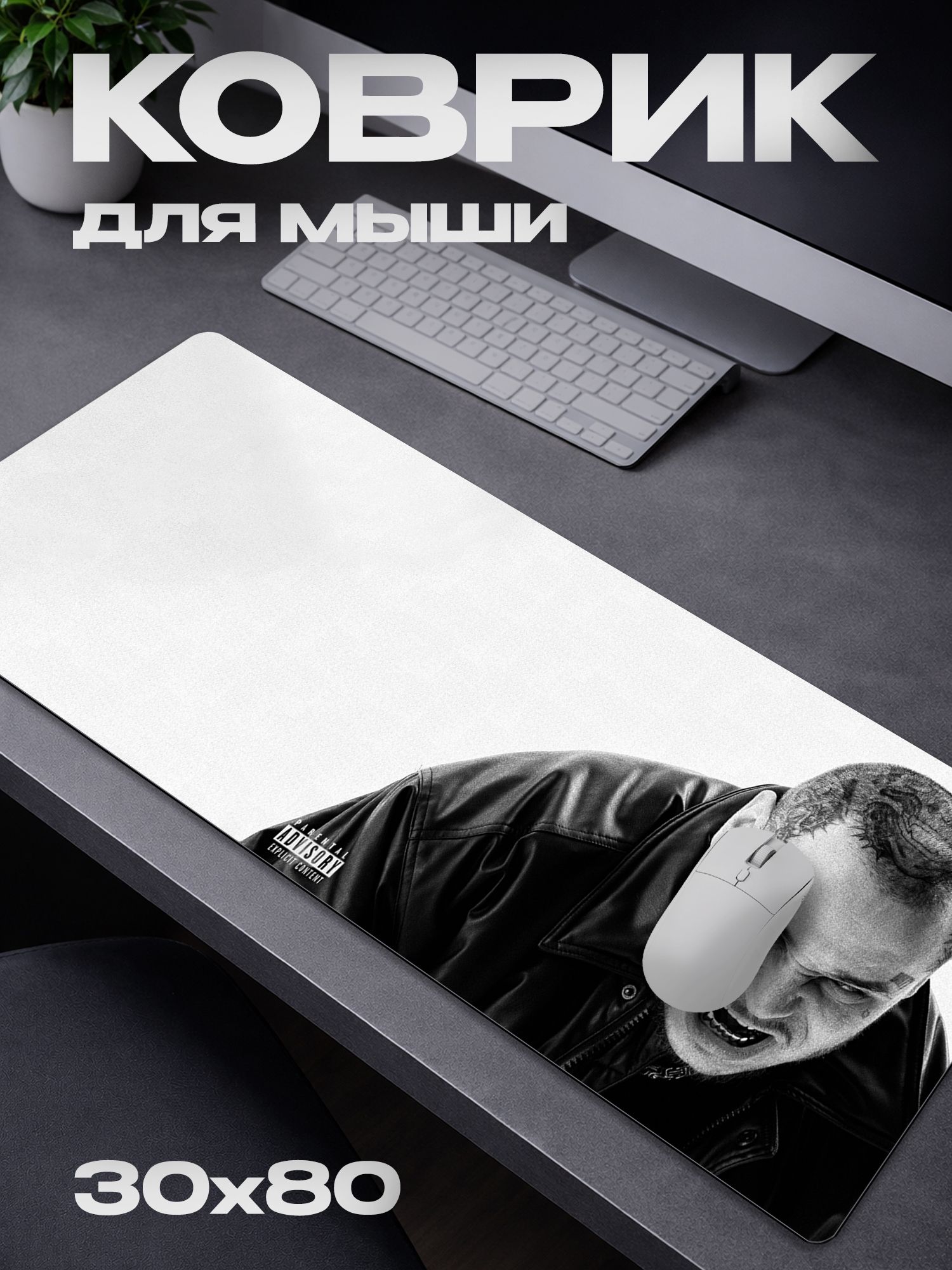 Коврик для мыши RAM Рэм / 30*80