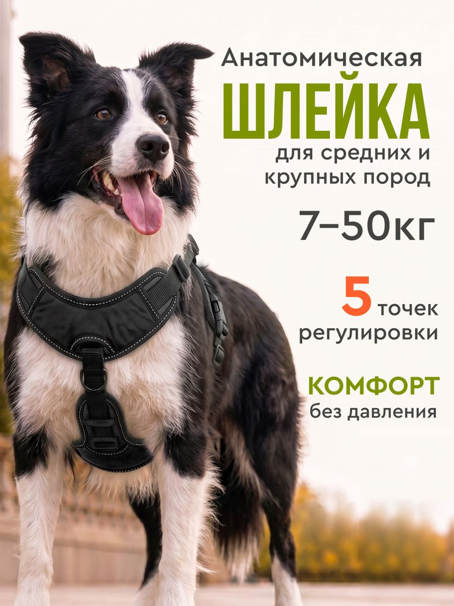 Регулируемая шлейка для собак средних пород MiloPets, анатомическая, L, 14-23 кг