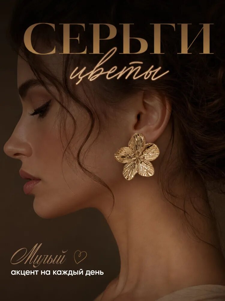 Серьги