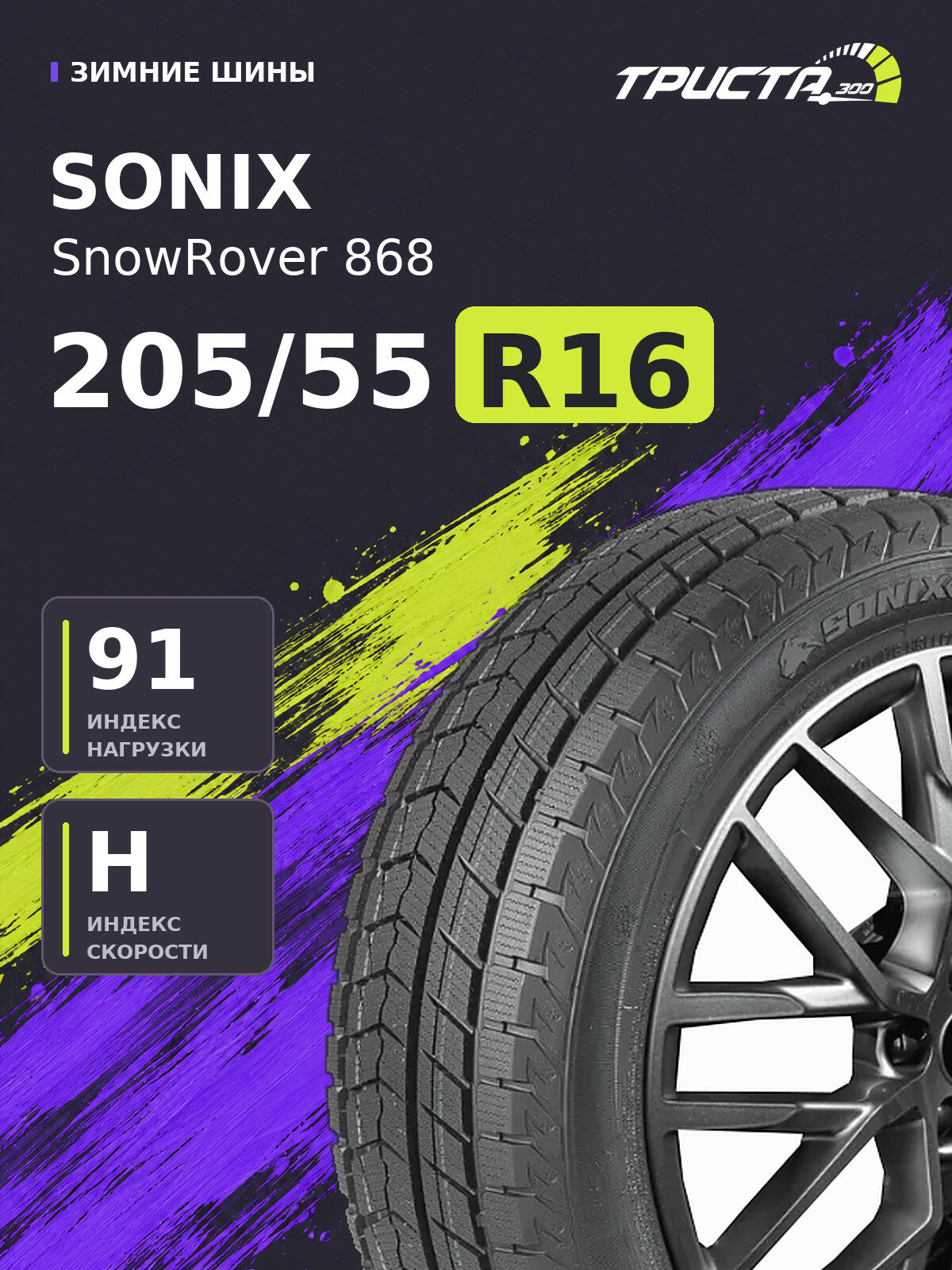 Шина SONIX SnowRover 868 205/55R16 91H