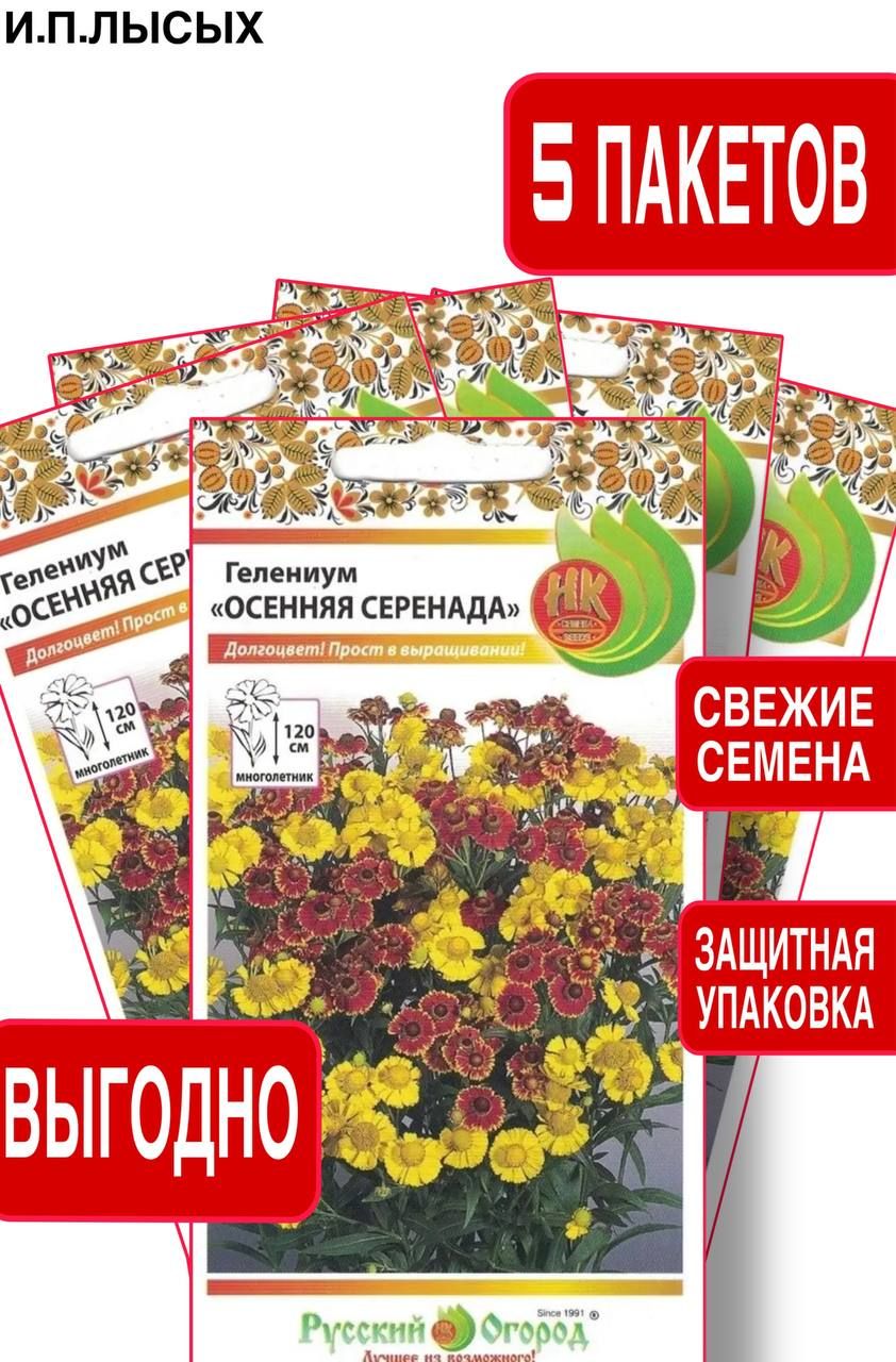 Цветы Гелениум Осенняя серенада 5шт