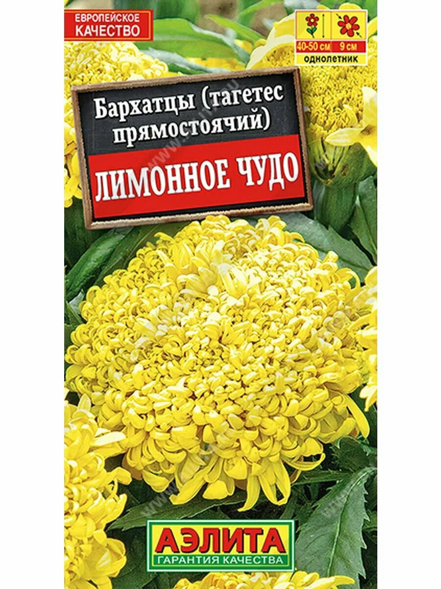 Бархатцы Лимонное чудо прямостоячие