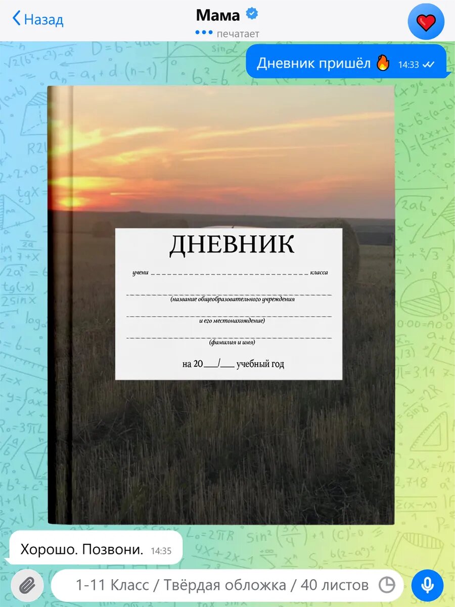Школьный дневник с принтом Роблокс