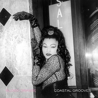 Виниловая пластинка Blood Orange - Coastal Grooves (Vinyl, LP, Album, 2013)