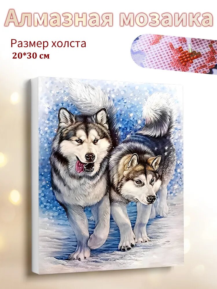 Алмазная мозаика на подрамнике 20x30cm "Аляскинская ездовая собака" / картина алмазная стразами