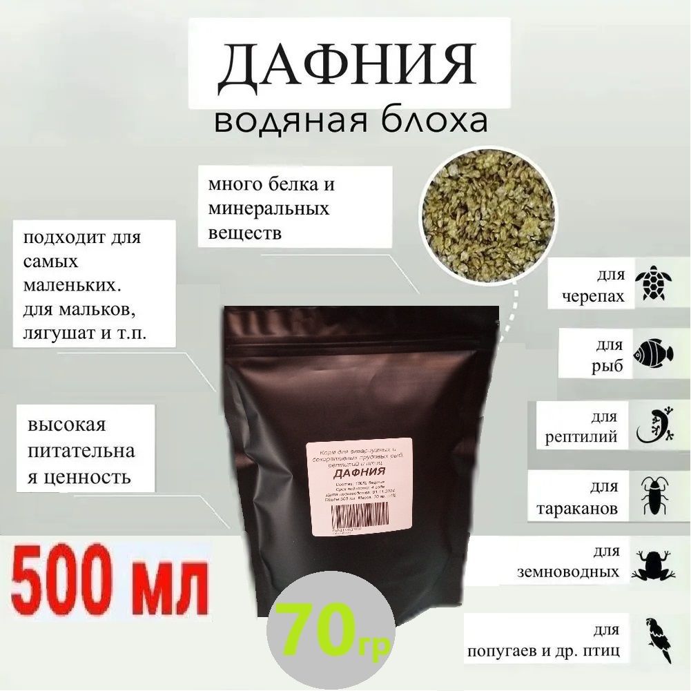 Дафния (Daphnia)