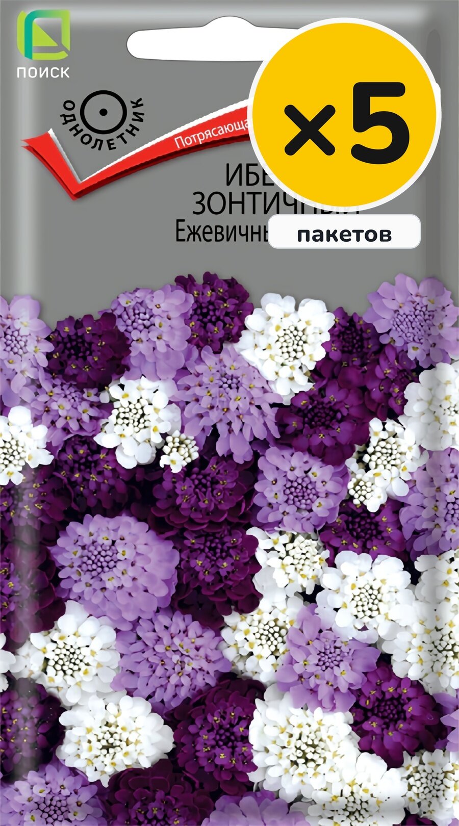 Семена ибериса зонтичного Ежевичные меренги, 0,1 г, 5 пакетов, Поиск, однолетник, высота до 30 см, посев в грунт в мае