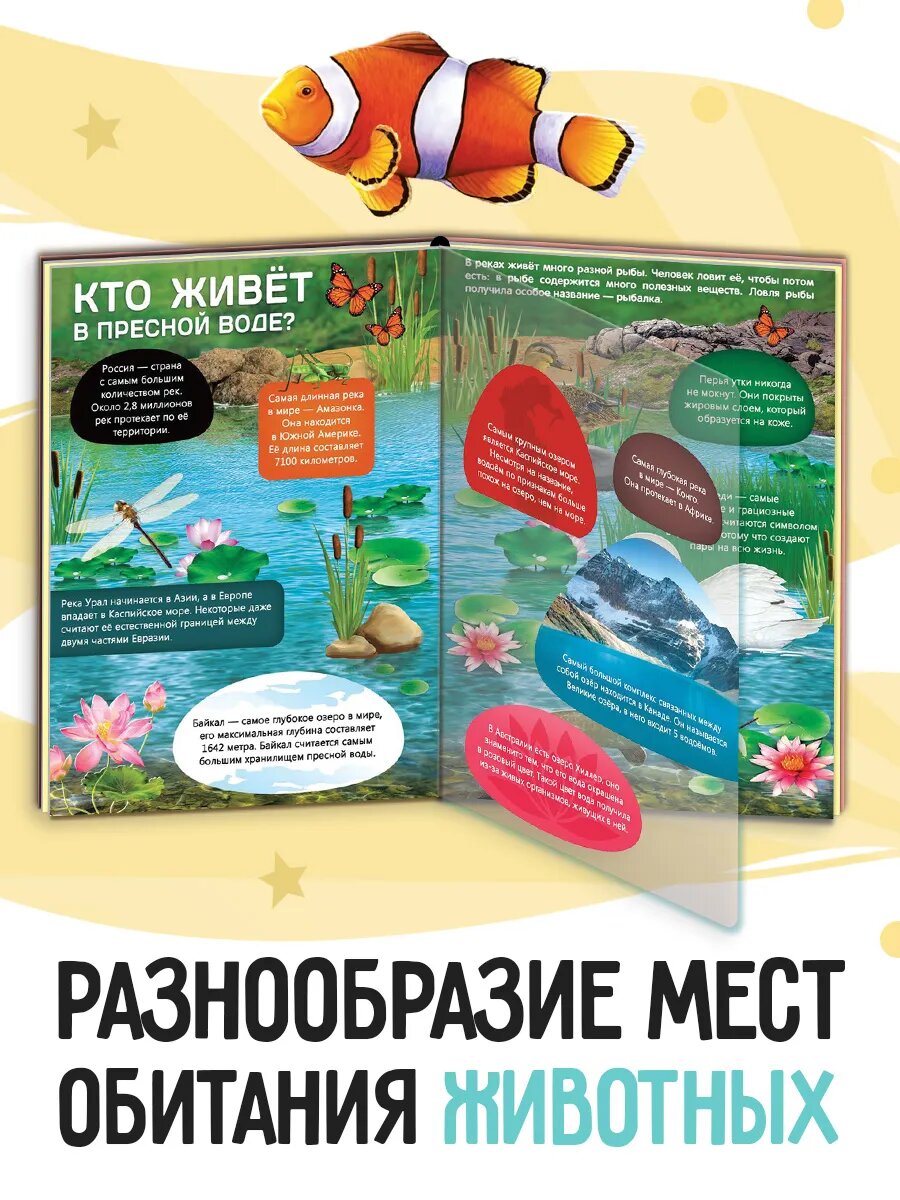 Книга энциклопедия "Жизнь на земле. Животные и где они обитают" 30 стр, Буква-ленд для детей — фото 1