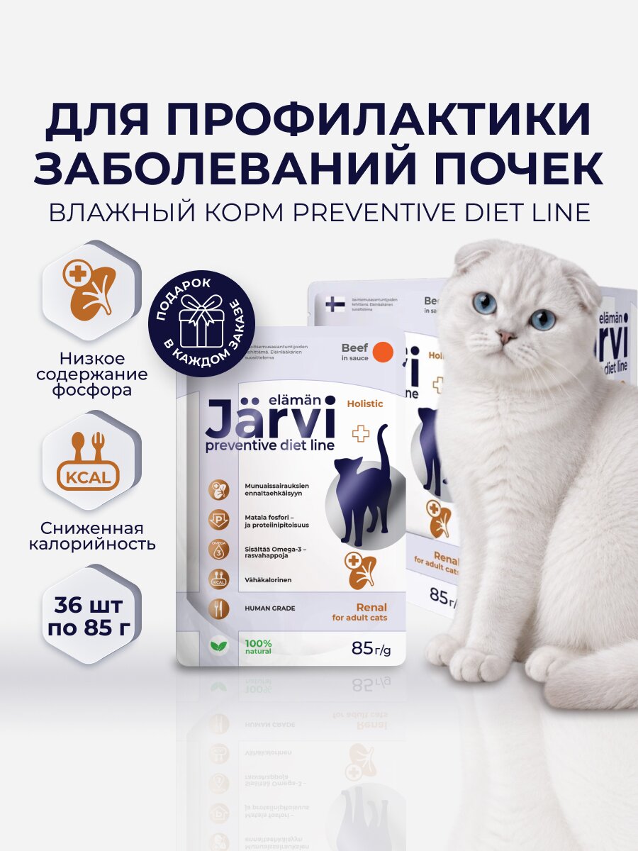 Влажный корм Jarvi Preventive diet line Renal для кошек для поддержания функции почек и профилактики почечной недостаточности с говядиной (кусочки в с
