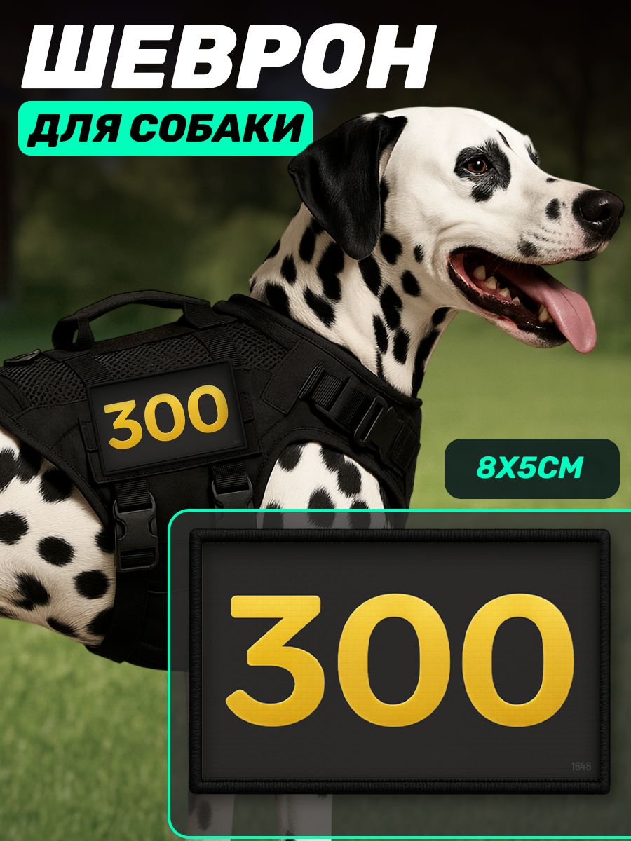 Шеврон на липучке для собак инвалида 300