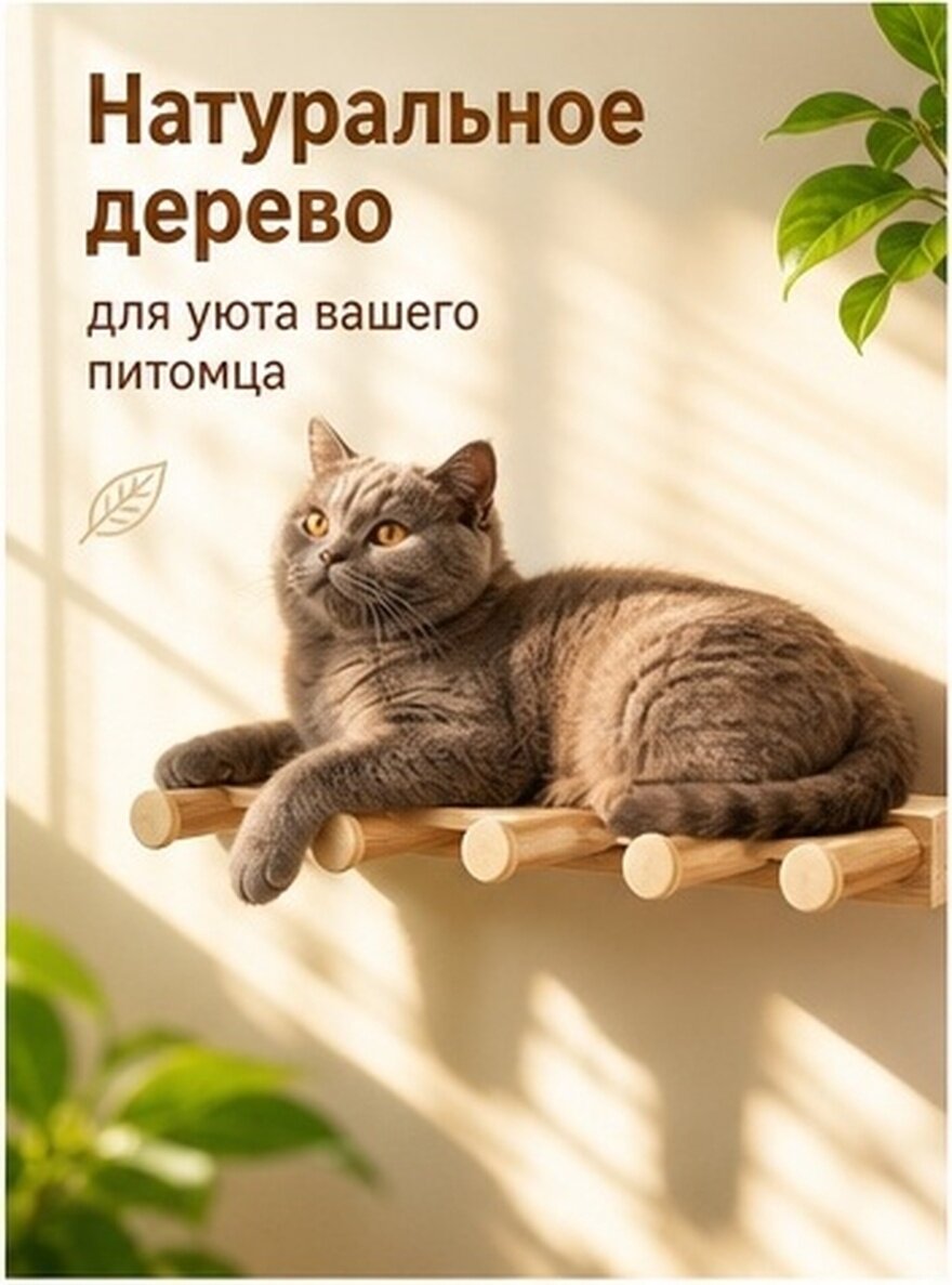 Деревянная Полка Для Кошек Натуральное Игровое Приспособление Домашняя Мебель Для Кошек 22.00X11.00X4.00Cm