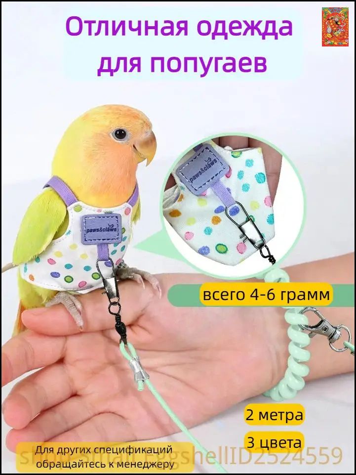Летный костюм для попугая с поводком, ткань, размер неразлучник 5*8.5 см, зеленый