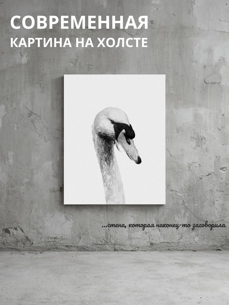 Картина на холсте Лебедь 50x70 см