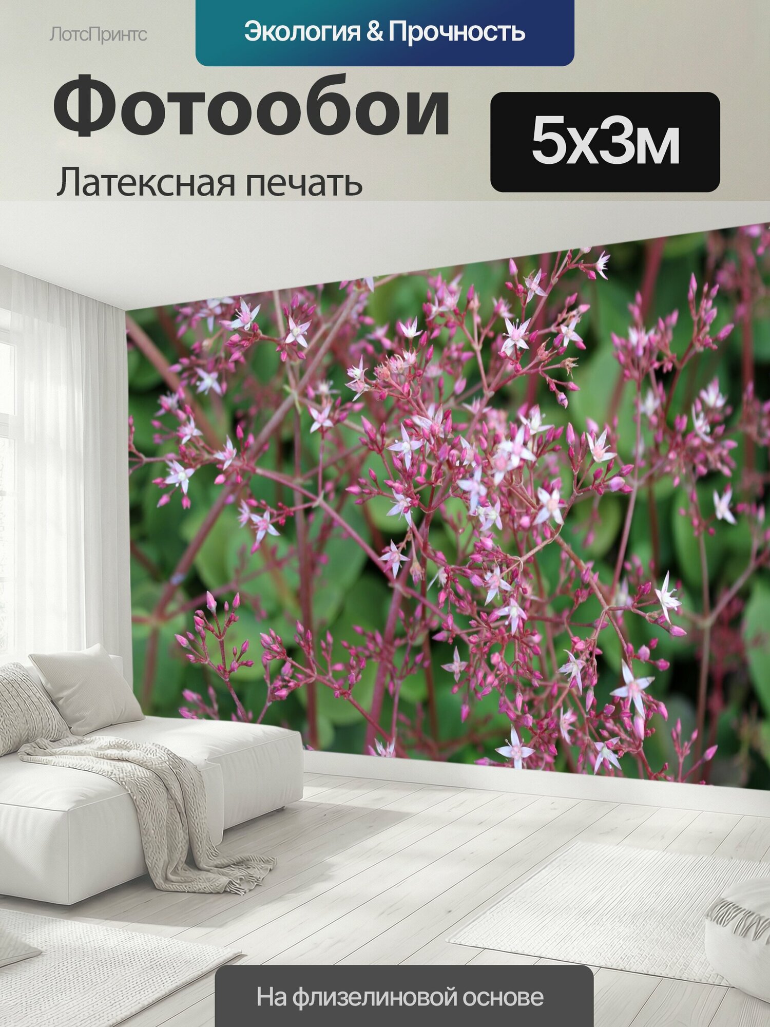 Фотообои моющиеся ударопрочные "Крассула, цветок, сочный" 500x300 см. латексная печать