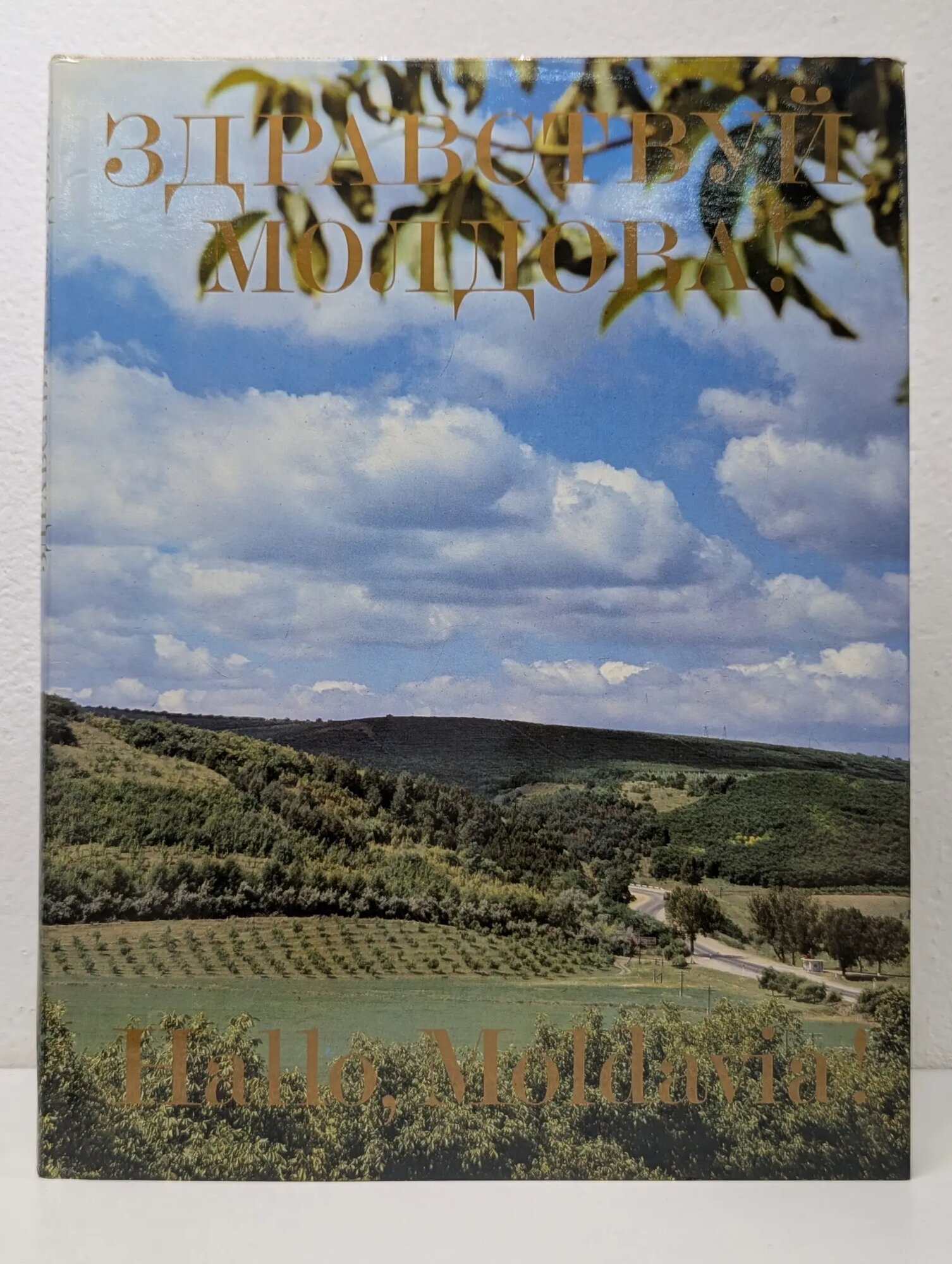 Здравствуй, Молдова! Hello, Moldavia! 1983