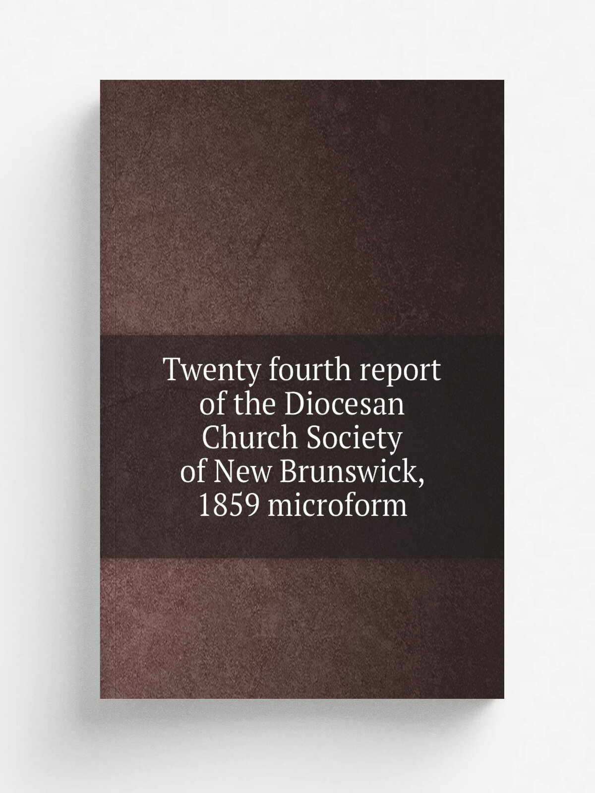 Twenty fourth report of the Diocesan Church Society of New Brunswick, 1859 microform | 1859 | . Saint John, N.B? : s.n. | Репринт