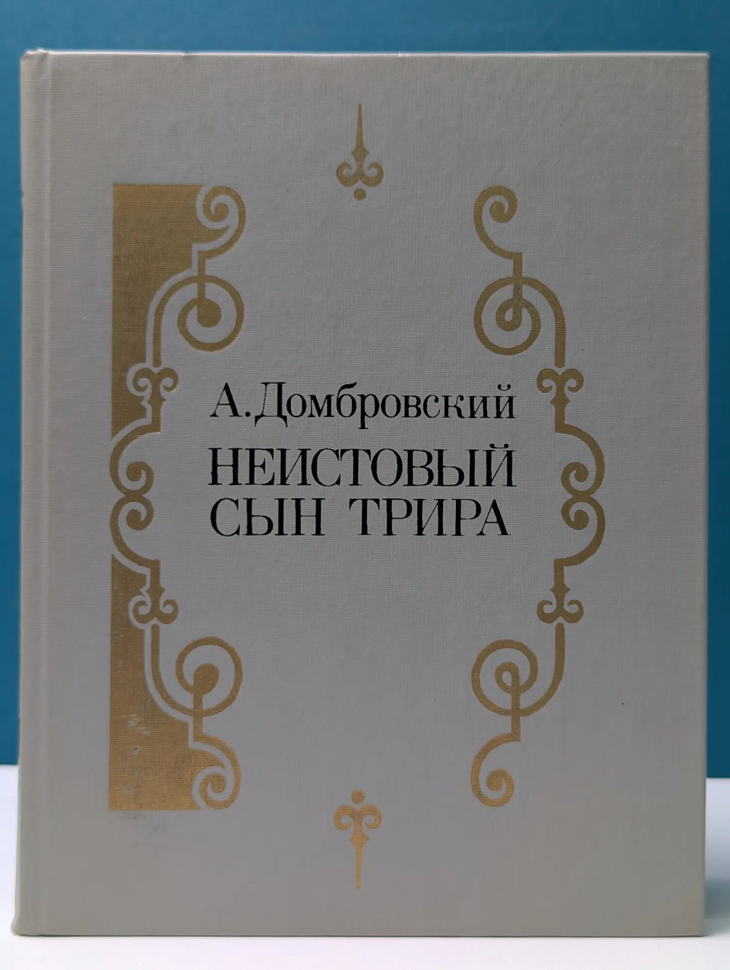 Неистовый сын Трира Домбровский Анатолий Иванович 1988