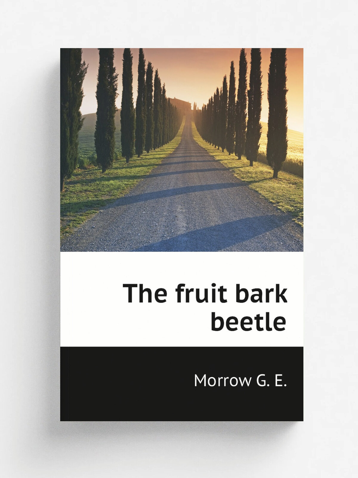 The fruit bark beetle | Morrow G. E. | Репринт